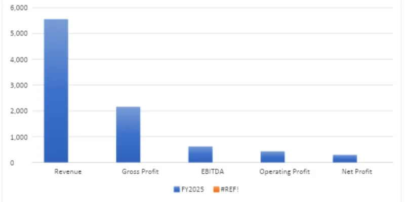 Financial Summary Table